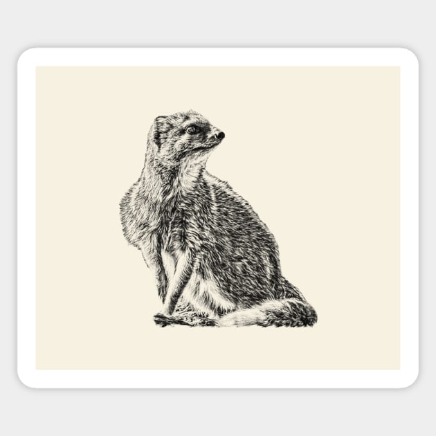 Yellow mongoose Sticker by Guardi